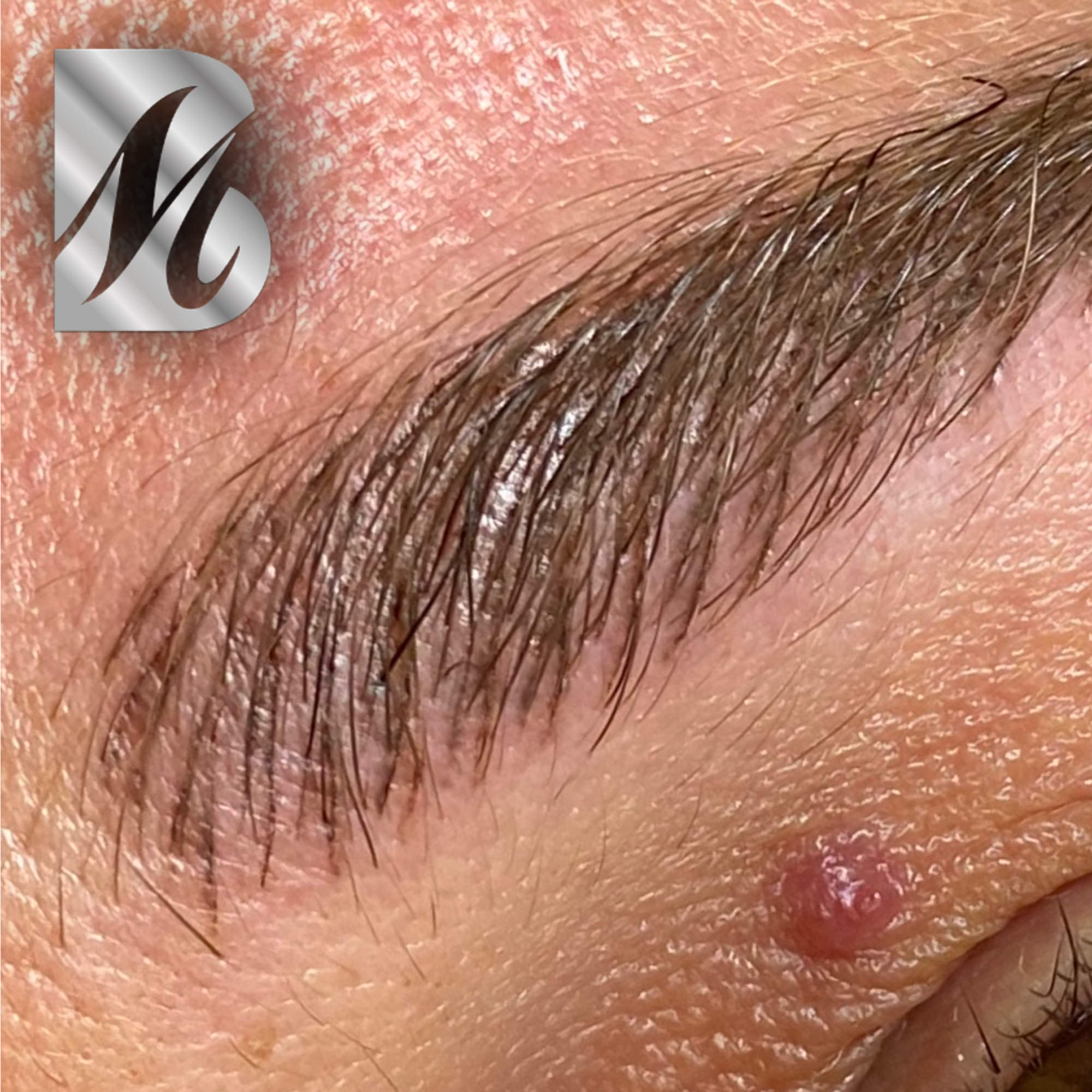 Post%20Sopracciglia%20117%20DX